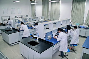 中草藥科技領域的技術咨詢 賦能醫學實驗技術專業發展的核心橋梁